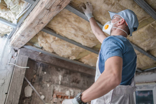 Best Spray Foam Insulation  in Fort Shawnee, OH