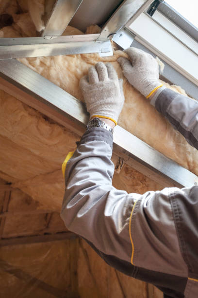 Professional Insulation Contractor in Fort Shawnee, OH