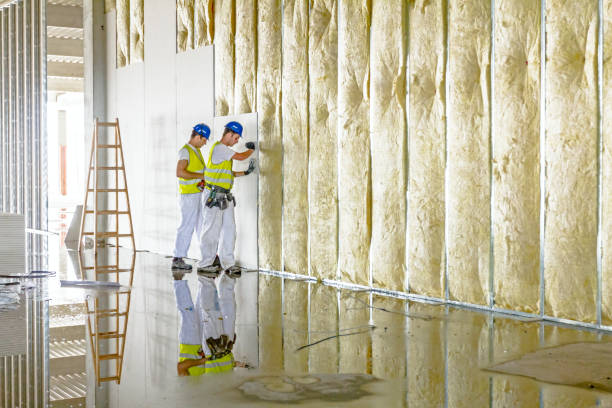 Best Insulation Contractor Near Me  in Fort Shawnee, OH